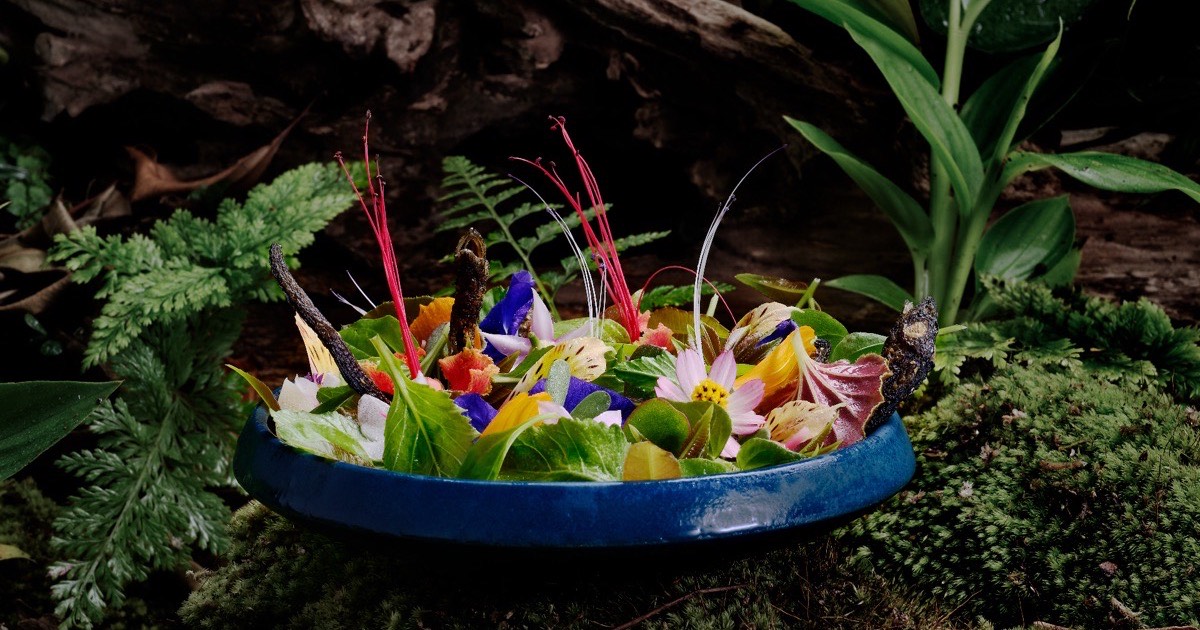 Local SEO for Bali restaurants — how the Google local pack decides where guests eat